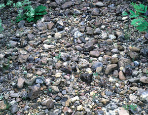 photo of Uvalde gravels-west