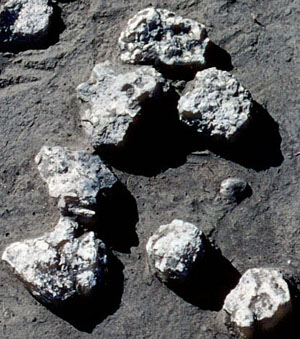 photo of cookstones