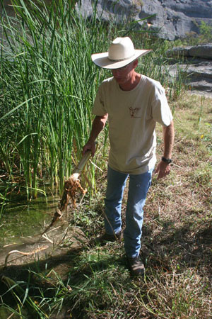 photo of Phil Dering