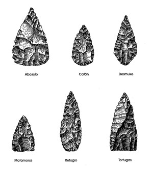 illustration of common dart points