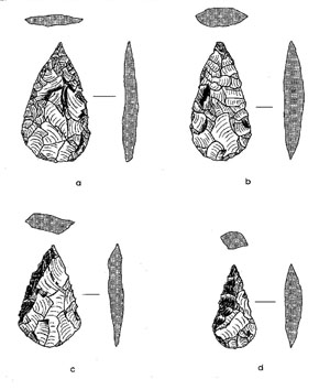 illustration of resharpened Abasolo points