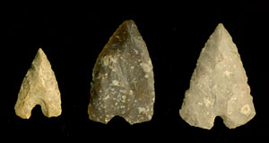 photo of carrizo dart points