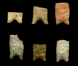 photograph of Golondrina Points