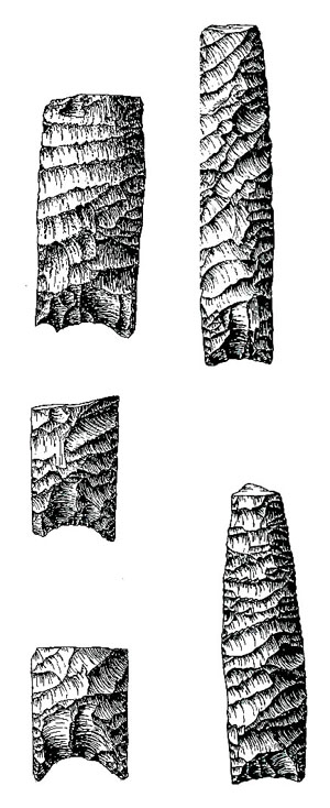 drawing of st. mary's hall points