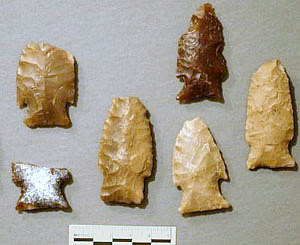 photo of wilson points