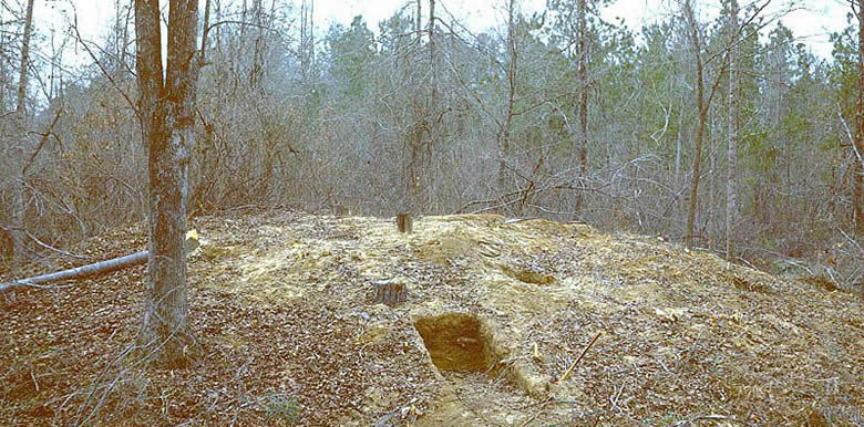 Coral Snake Mound