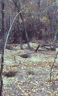 Looted Titus phase cemetery