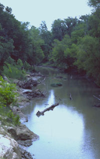 Sulphur River