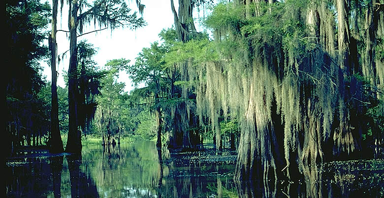 Timber Hill Lake