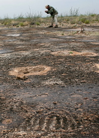 photo of archeologist Mark Willis