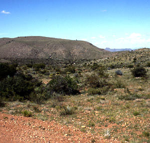 photo from the canyon floor and looking over the tops of the Eagle Mountains