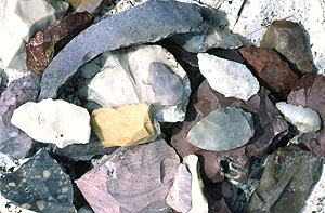 photo of Burro Mesa chert