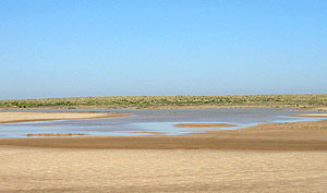 photo of Toyah Lake