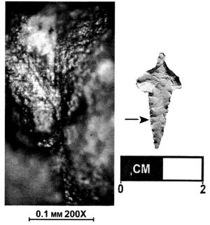 Figure 2M