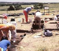 photo of TAS members at work