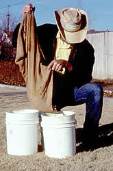 dried clay poured into a bucket of water