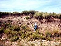 photo of Erickson looking at discovery