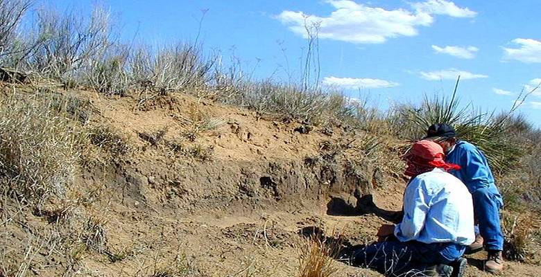 photo of archologists examining soil