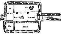 Drawing of Generalized Type 1 Antelope Creek house as defined by Christopher Lintz. 