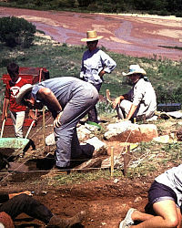 Photo volunteer archeological dig in progress.