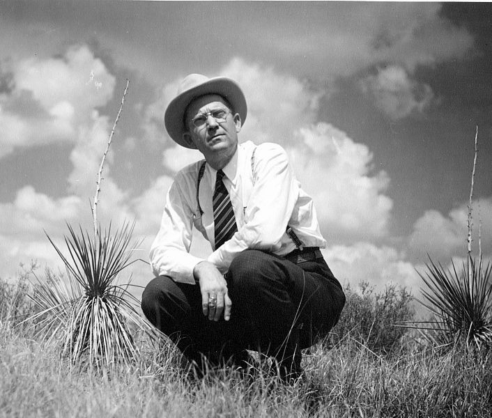 Posed photo of man in long-sleaved shirt and tie squating in an overgrown field and looking a the camera.