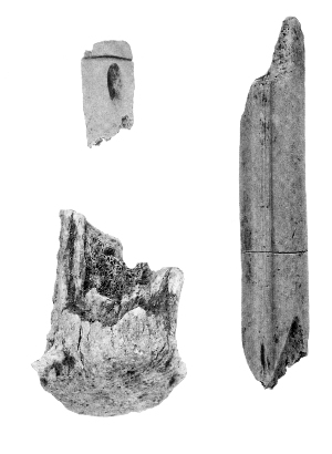 fig7-36