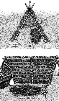 drawing of a house made of plants